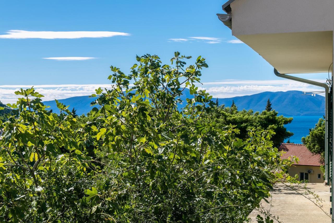 Apartments With A Parking Space Gradac, Makarska - 14708 Exterior foto